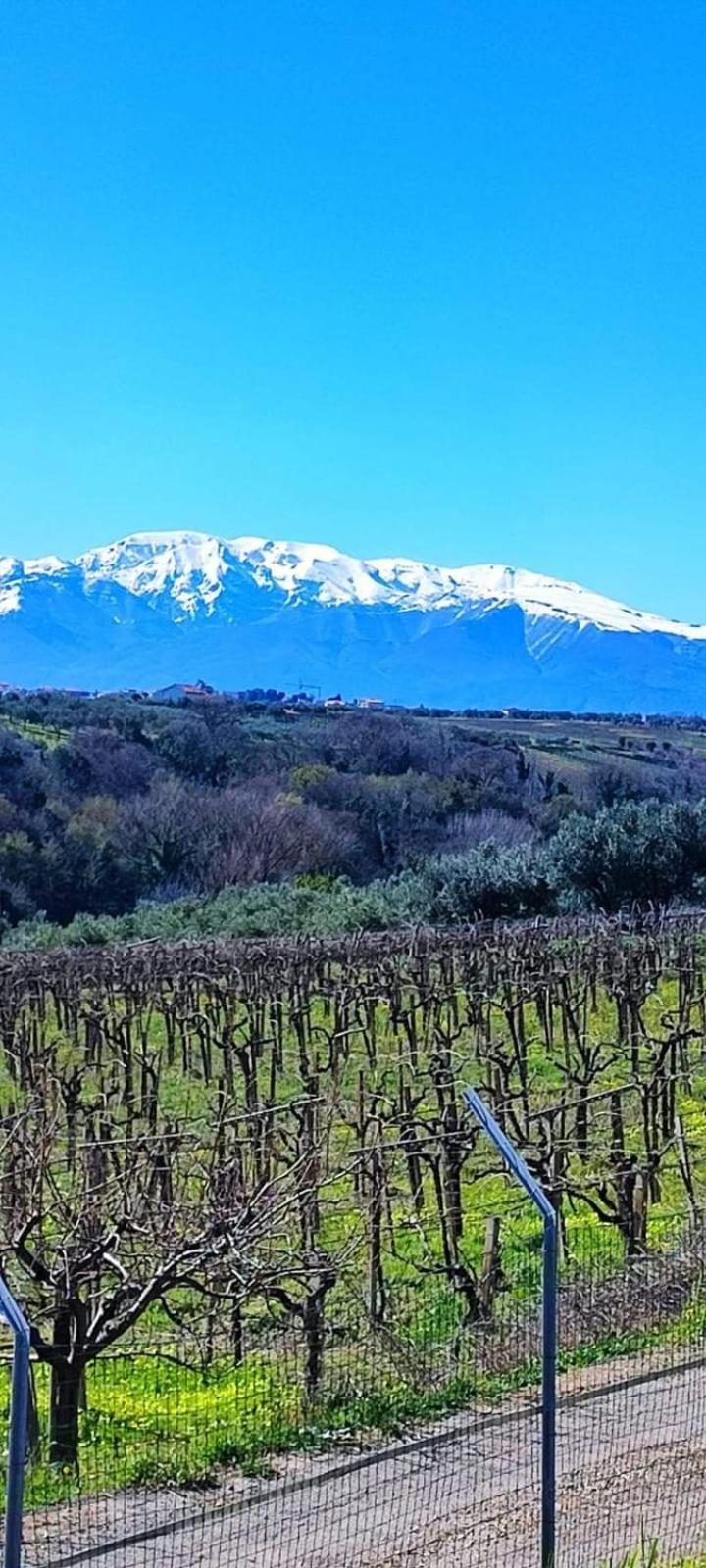Apartmán La Finestra D'Abruzzo Ortona Exteriér fotografie